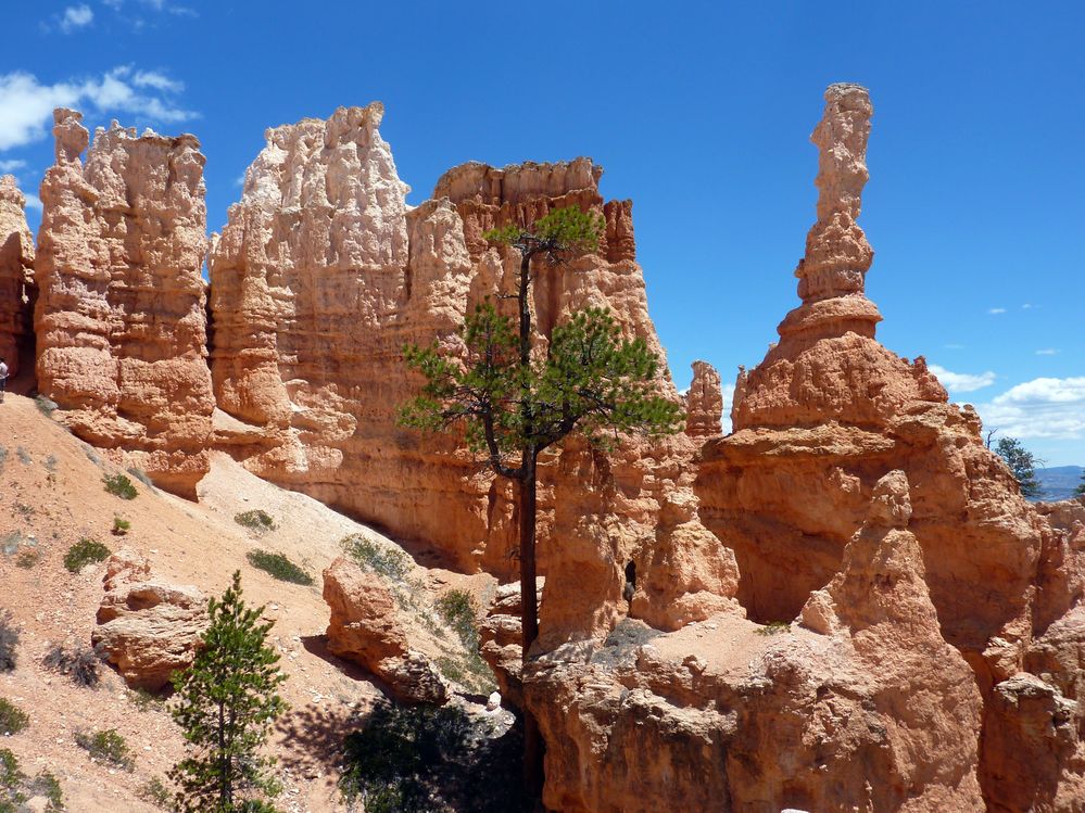 bryce canyon (95).JPG